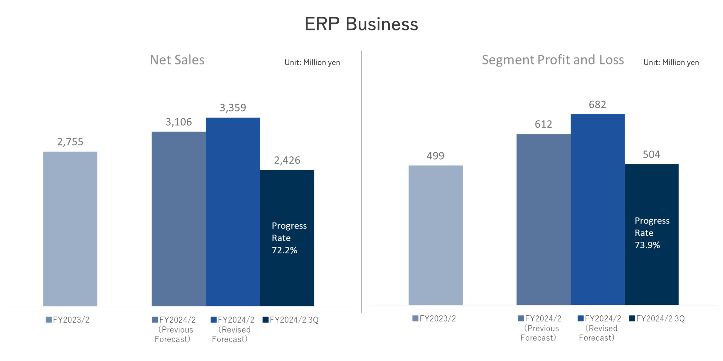 ERP Business