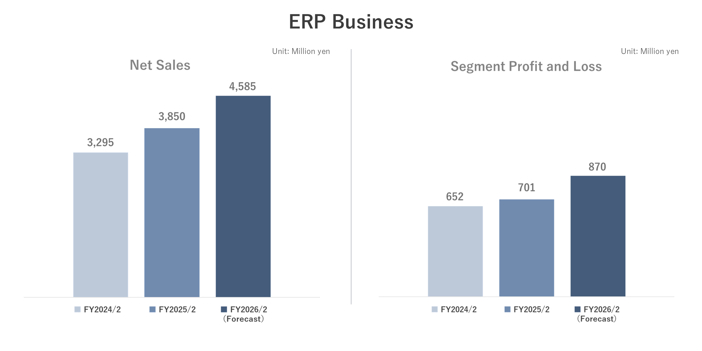 ERP Business