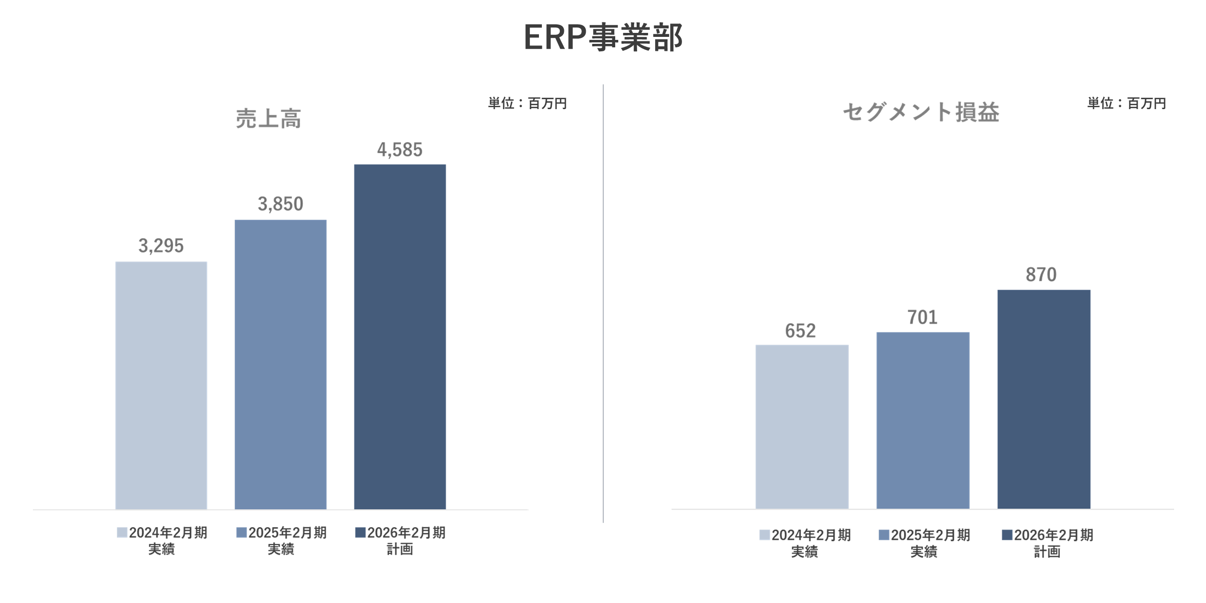 ERP事業
