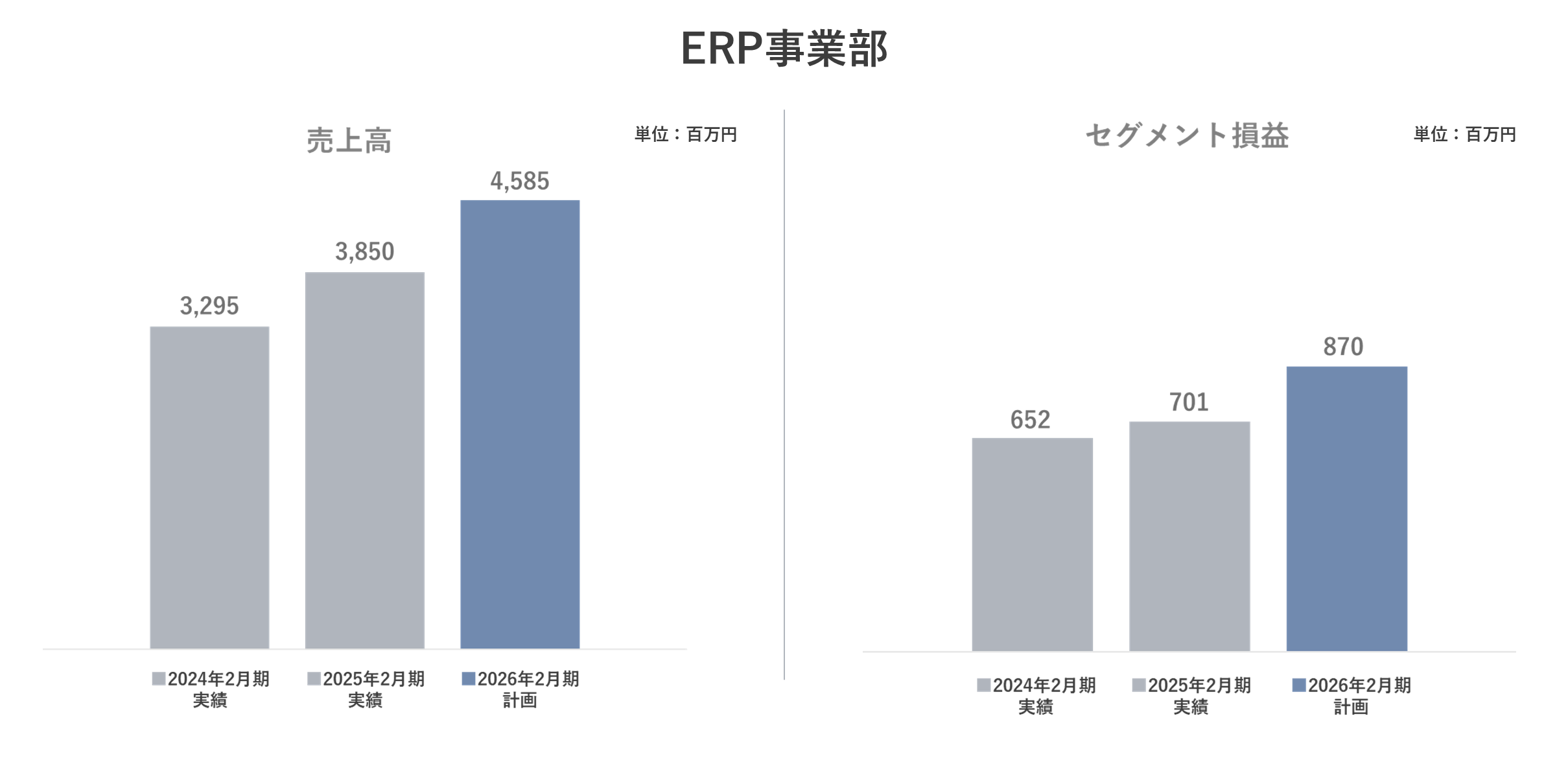 ERP事業