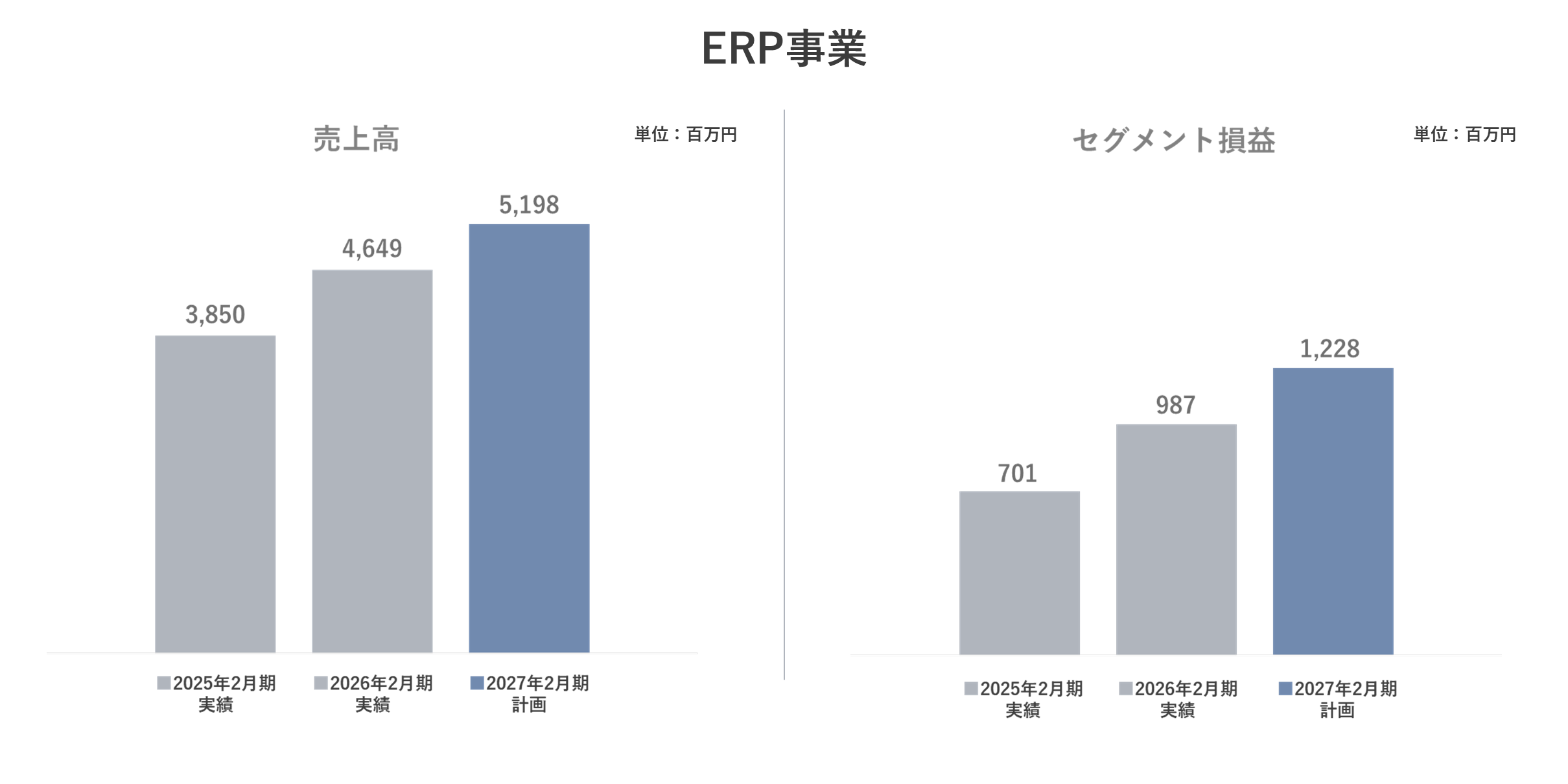 ERP事業