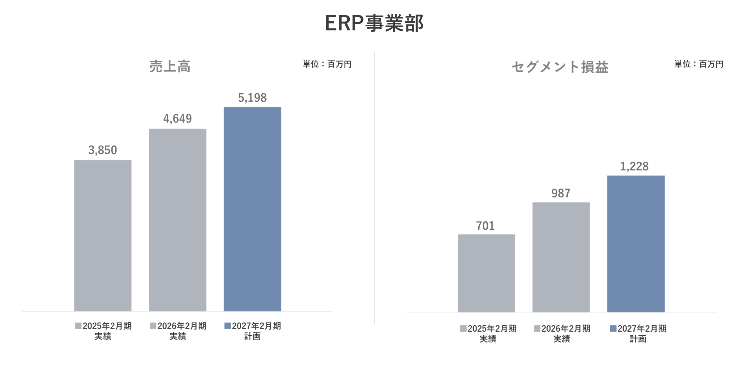 ERP事業